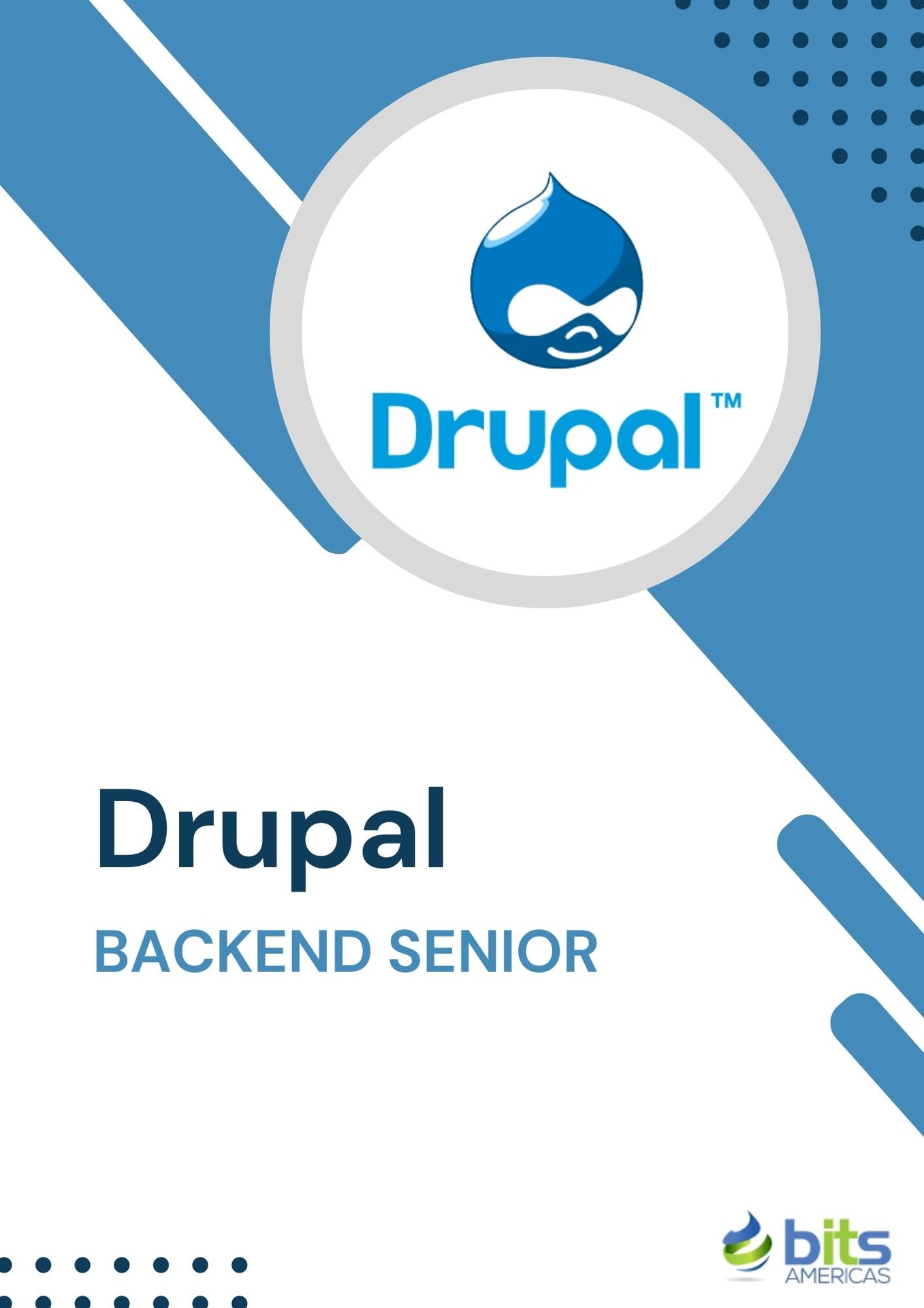 Drupal - Backend Senior