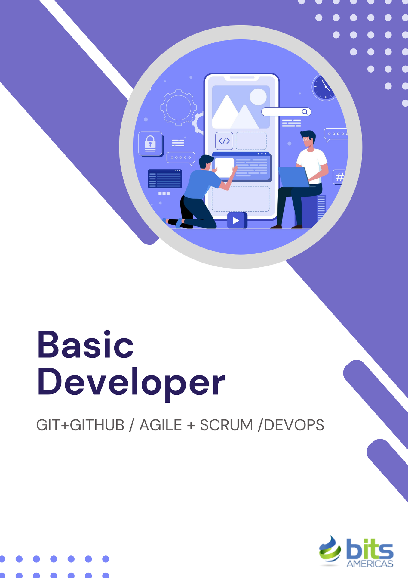 Basic Developer