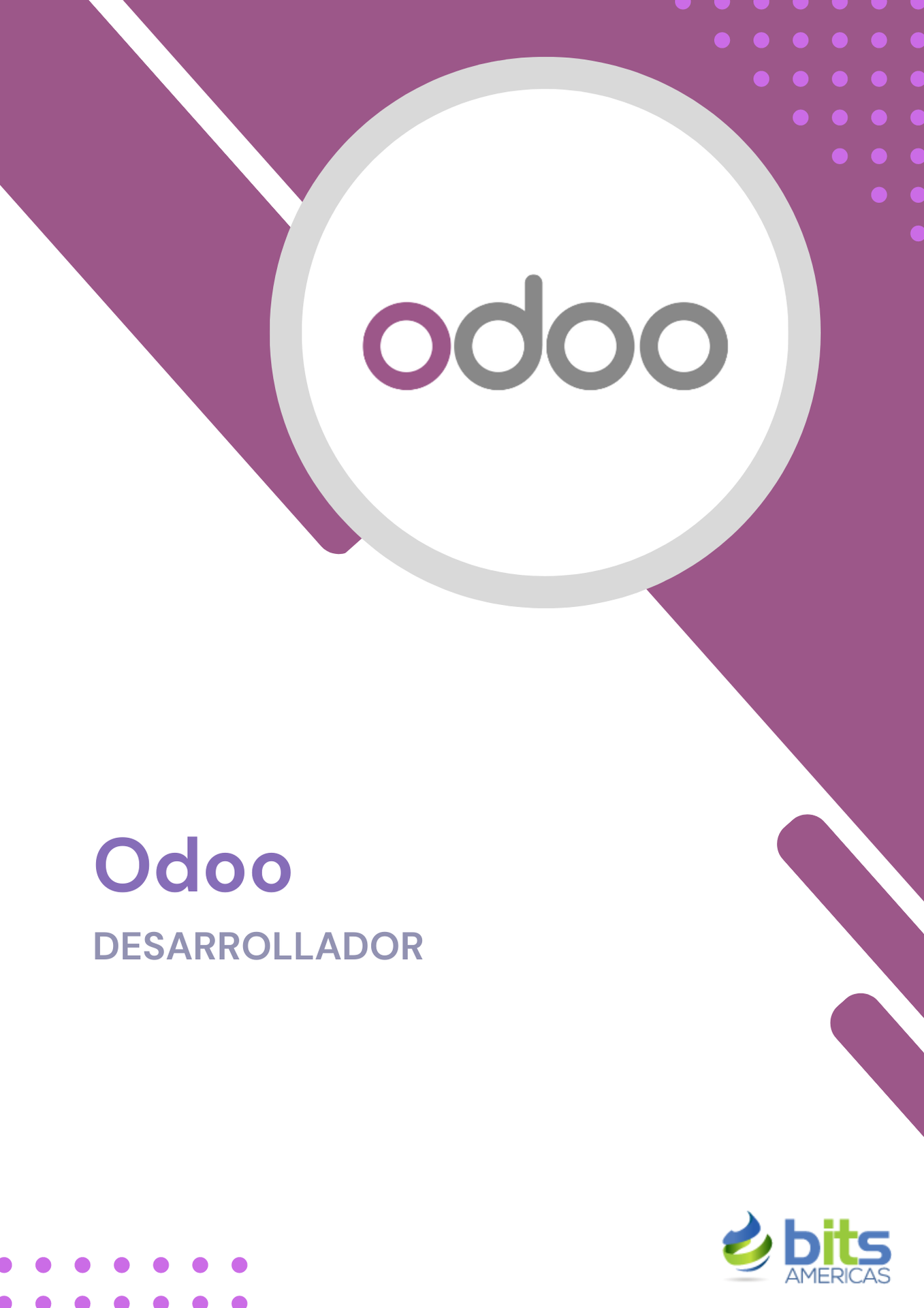 Odoo Desarrollador